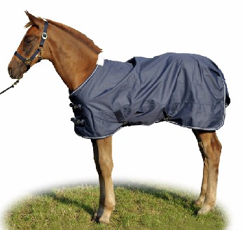 COPERTA DA PADDOCK PULEDRI interno pile Paddock Light 